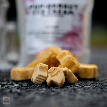 Pup-Ornaut Freeze-Dried Dog Ice Cream: Pumpkin & Apple