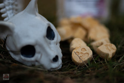 Pup-Ornaut Freeze-Dried Dog Ice Cream: Pumpkin & Apple